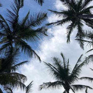 Meet your Posher, Kira